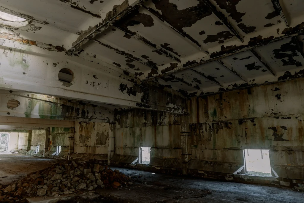 Commercial Mold Removal
