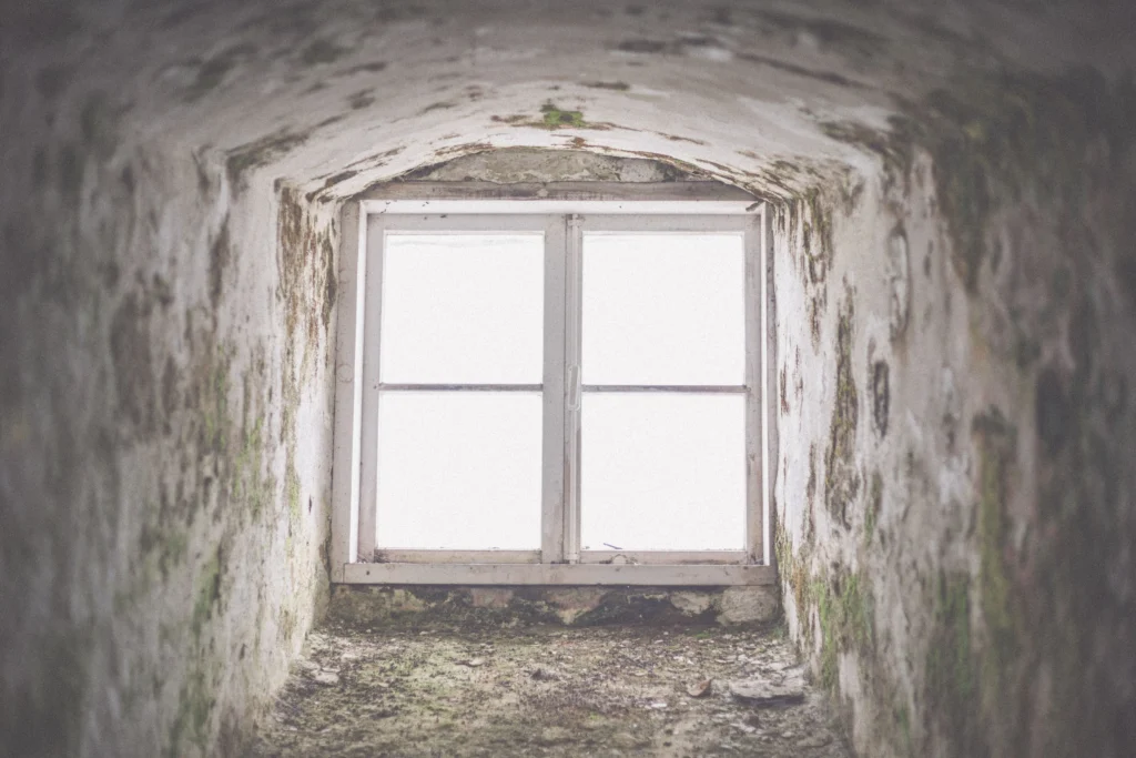 Residential Mold Remediation