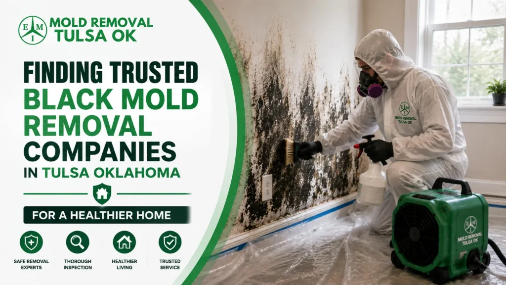 Finding Trusted Black Mold Removal Companies in Tulsa Oklahoma for a Healthier Home