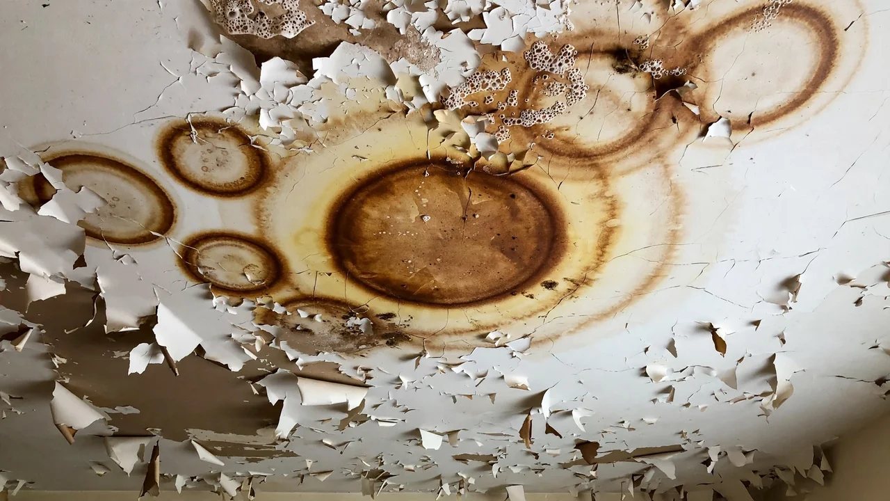 Water-stained ceiling with peeling paint before water damage restoration in Tulsa OK
